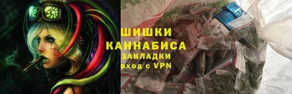 индика Ростов