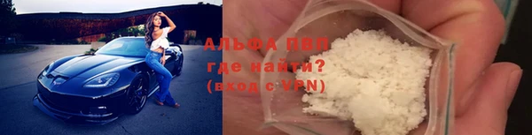 индика Ростов