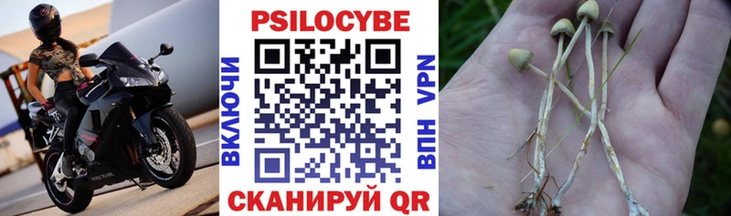Галлюциногенные грибы MAGIC MUSHROOMS  ссылка на мегу ONION  Циолковский  цена  
